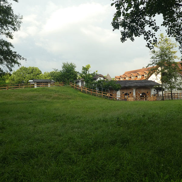 Frühling auf Gut Müllerhof