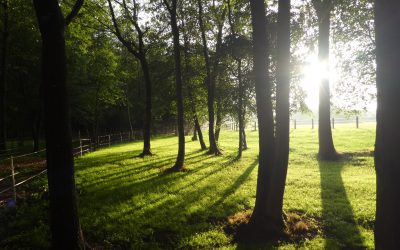 Die Herbstweide ist eröffnet!
