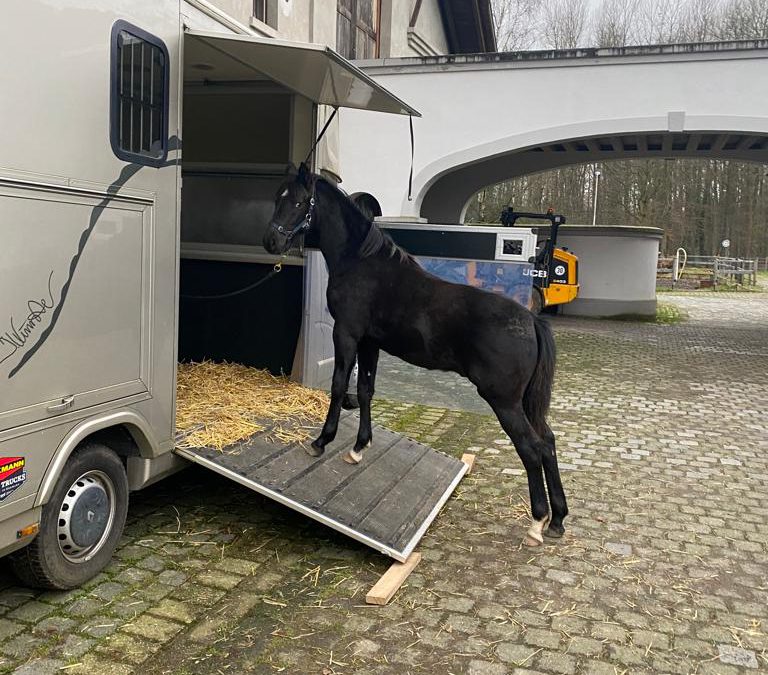 Trajan geht auf seine erste Reise /GENTILEZA kommt aus Cordoba an